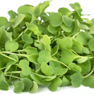 Micro Arugula