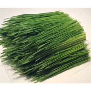 Wheatgrass
